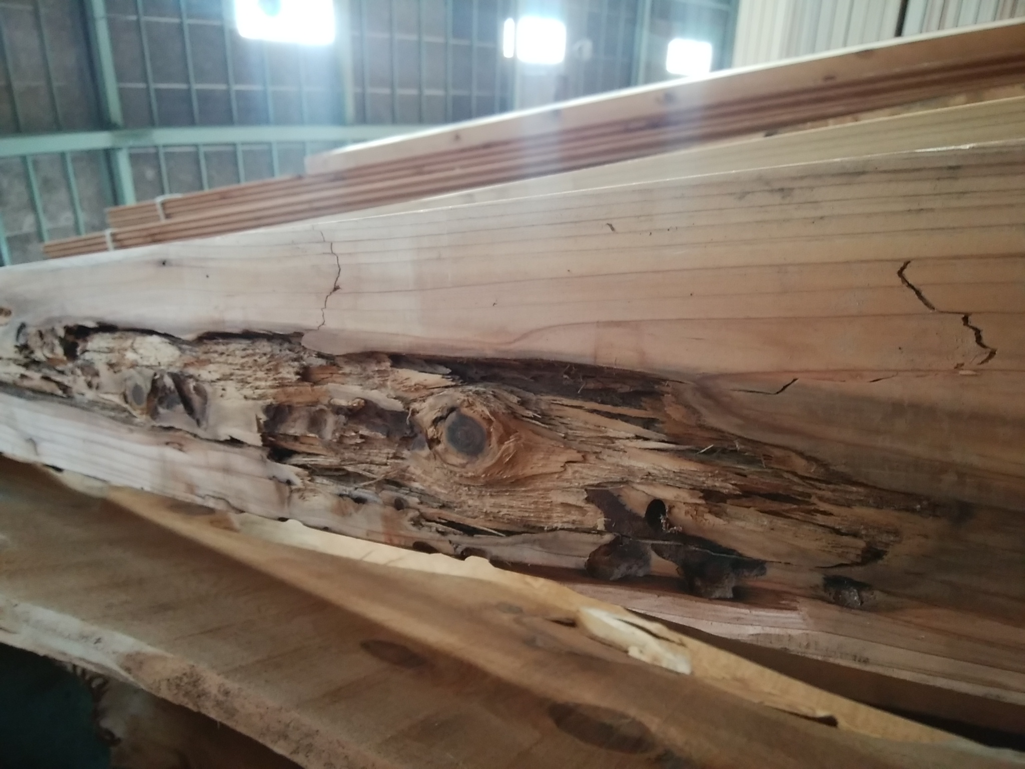 「木材・材木」のススメ